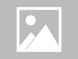 pltr stock price: what we know and the future – Visionary